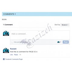 Facebook Comments On Pages Separated