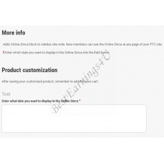 More Info Above Product Customization